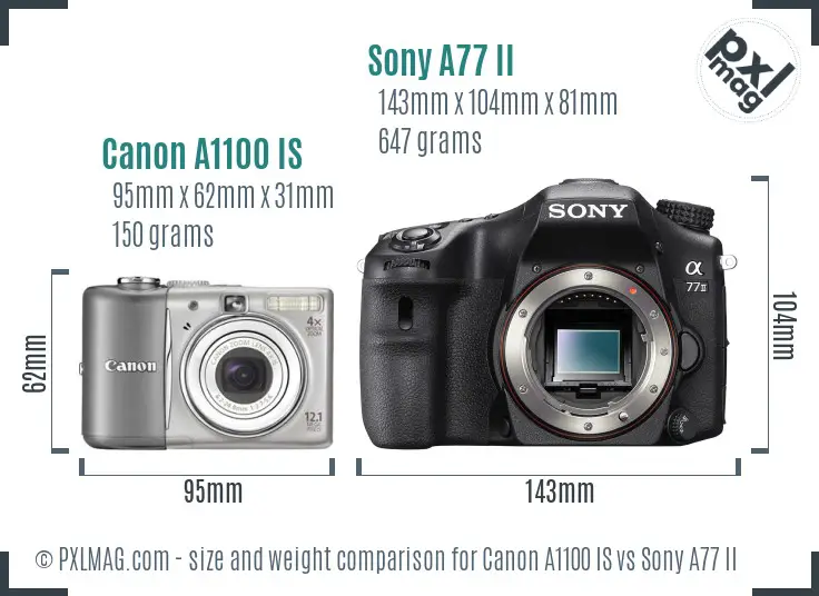 Canon A1100 IS vs Sony A77 II size comparison