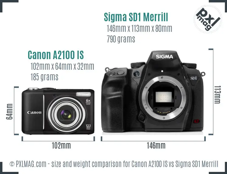 Canon A2100 IS vs Sigma SD1 Merrill size comparison