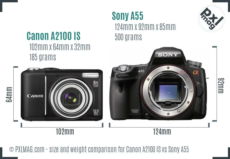 Canon A2100 IS vs Sony A55 size comparison