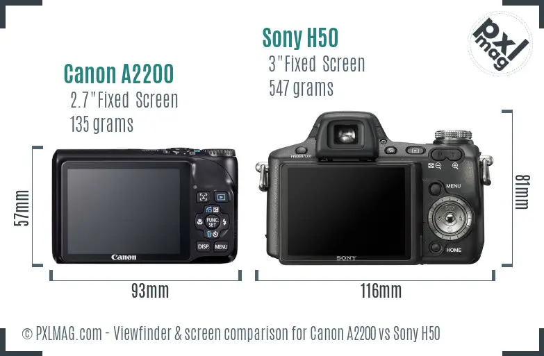 back-screen.jpg