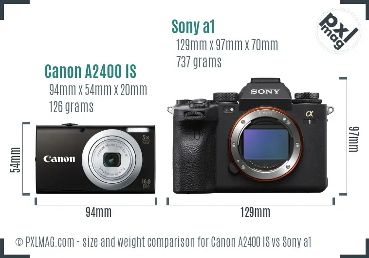 Canon A2400 IS vs Sony a1 size comparison