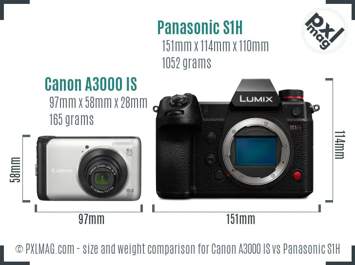Canon A3000 IS vs Panasonic S1H size comparison