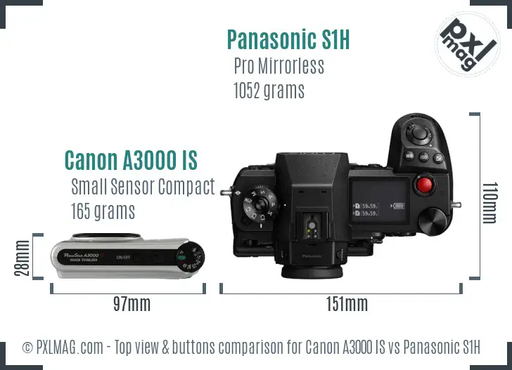 Canon A3000 IS vs Panasonic S1H top view buttons comparison