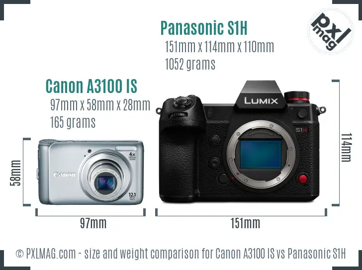 Canon A3100 IS vs Panasonic S1H size comparison