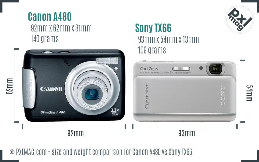Canon A480 vs Sony TX66 size comparison