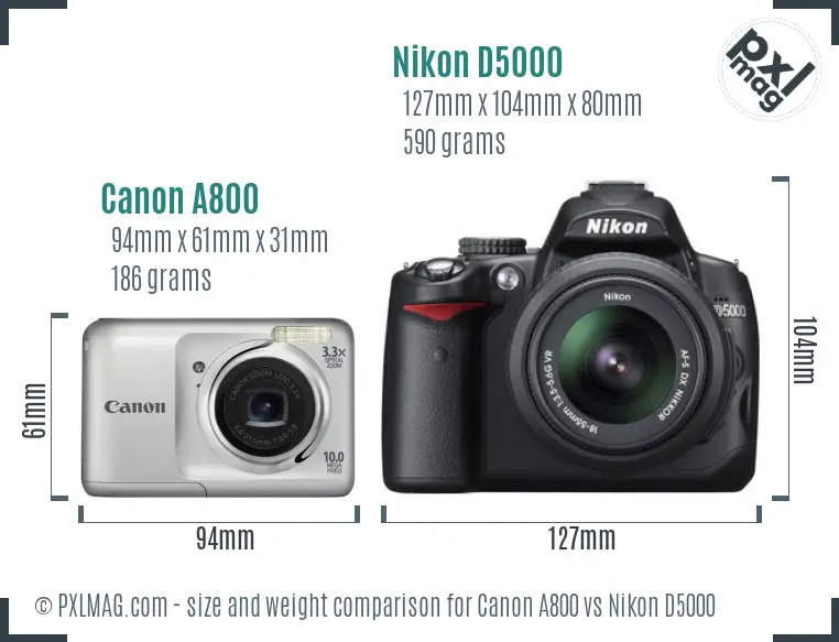 Canon A800 vs Nikon D5000 size comparison