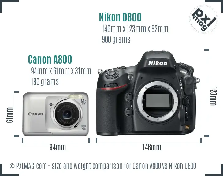 Canon A800 vs Nikon D800 size comparison