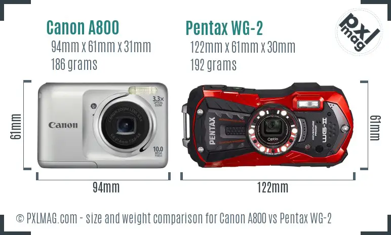 Canon A800 vs Pentax WG-2 size comparison