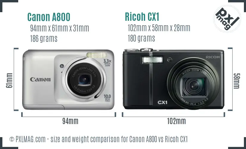 Canon A800 vs Ricoh CX1 size comparison