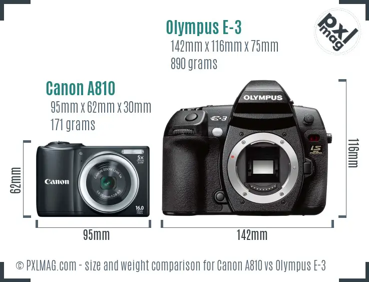 Canon A810 vs Olympus E-3 size comparison