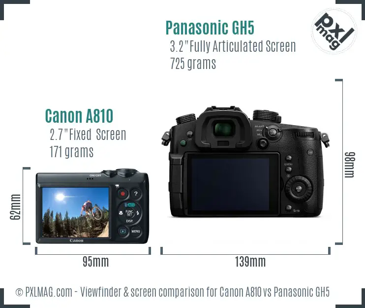 Canon A810 vs Panasonic GH5 Screen and Viewfinder comparison