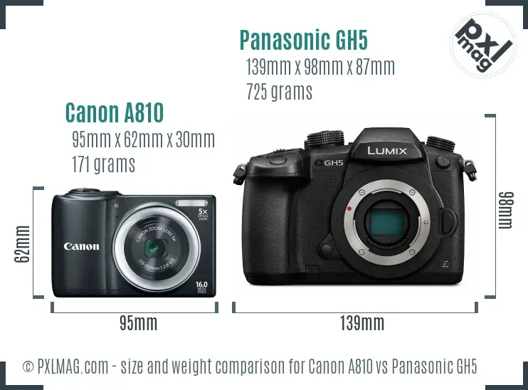 Canon A810 vs Panasonic GH5 size comparison