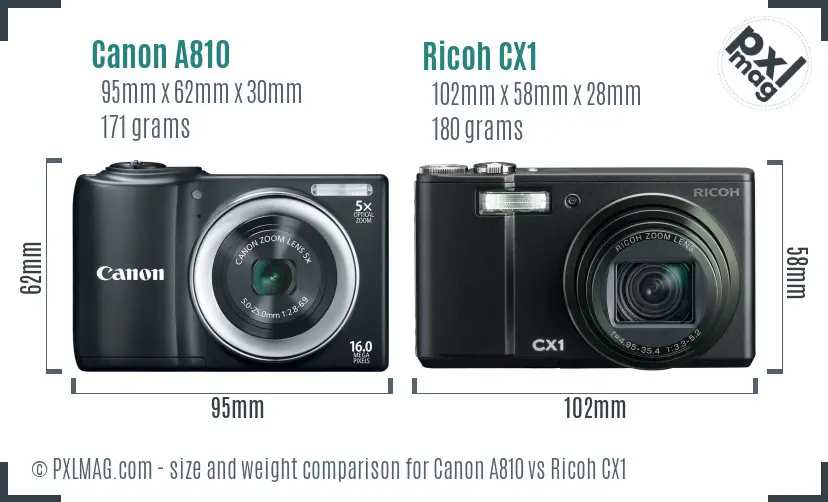 Canon A810 vs Ricoh CX1 size comparison