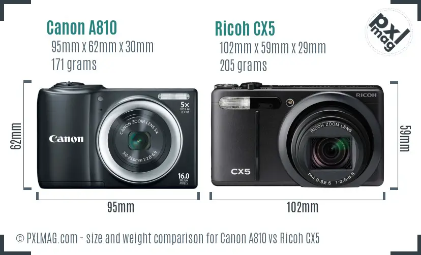 Canon A810 vs Ricoh CX5 size comparison Canon A810 vs Ricoh CX5 size comparison