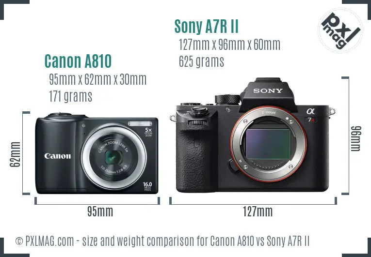 Canon A810 vs Sony A7R II size comparison