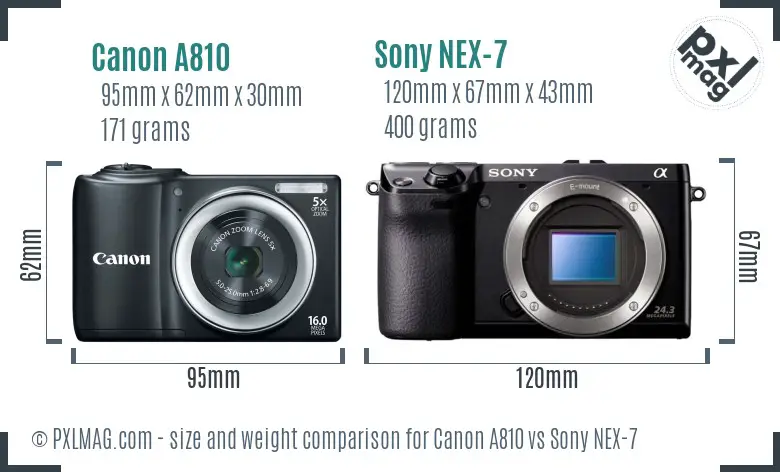 Canon A810 vs Sony NEX-7 size comparison