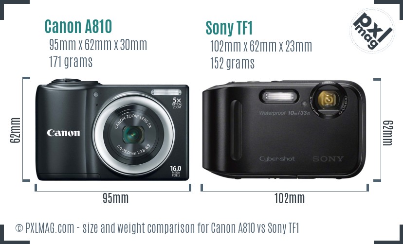 Canon A810 vs Sony TF1 size comparison