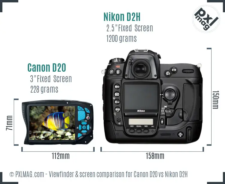 Canon D20 vs Nikon D2H Screen and Viewfinder comparison