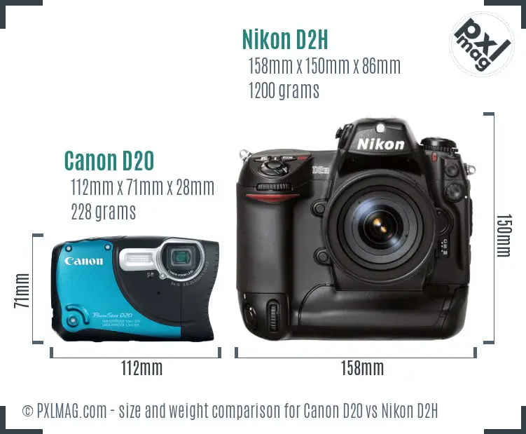 Canon D20 vs Nikon D2H size comparison