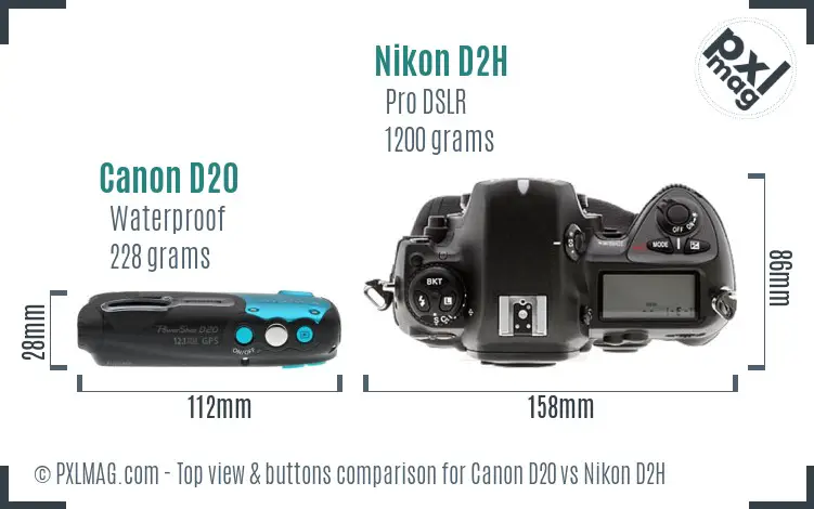 Canon D20 vs Nikon D2H top view buttons comparison