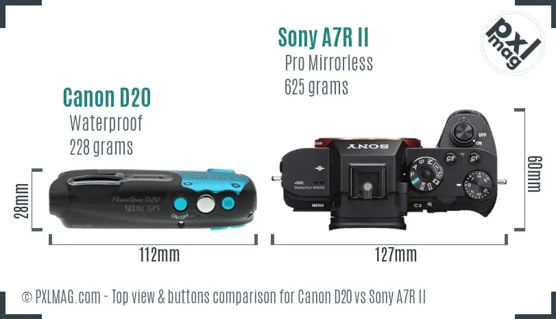 Canon D20 vs Sony A7R II top view buttons comparison
