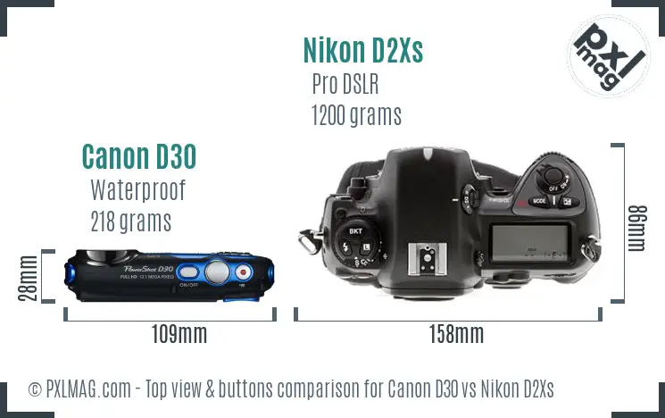 Canon D30 vs Nikon D2Xs top view buttons comparison