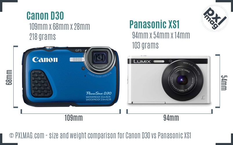 Canon D30 vs Panasonic XS1 size comparison