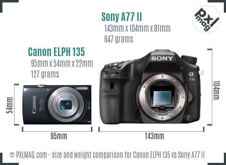 Canon ELPH 135 vs Sony A77 II size comparison