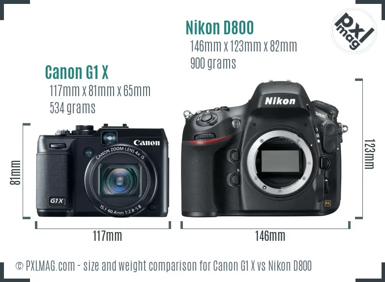 Canon G1 X vs Nikon D800 size comparison