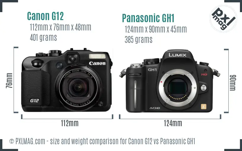 Canon G12 vs Panasonic GH1 size comparison