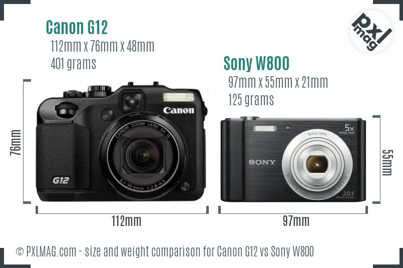 Canon G12 vs Sony W800 size comparison