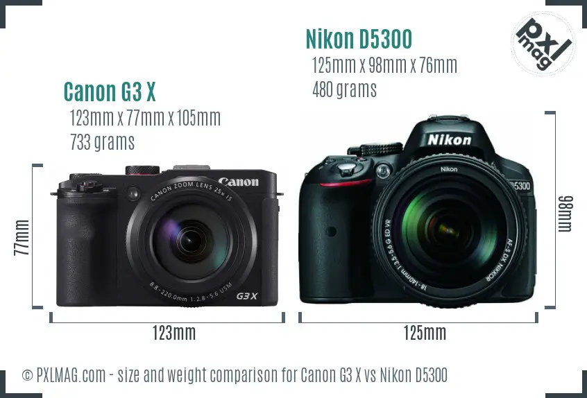 Canon G3 X vs Nikon D5300 size comparison
