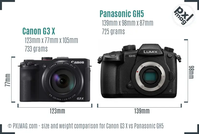 Canon G3 X vs Panasonic GH5 size comparison