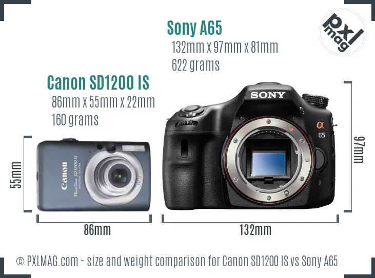 Canon SD1200 IS vs Sony A65 size comparison