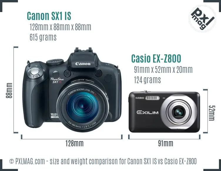 Canon SX1 IS vs Casio EX-Z800 size comparison