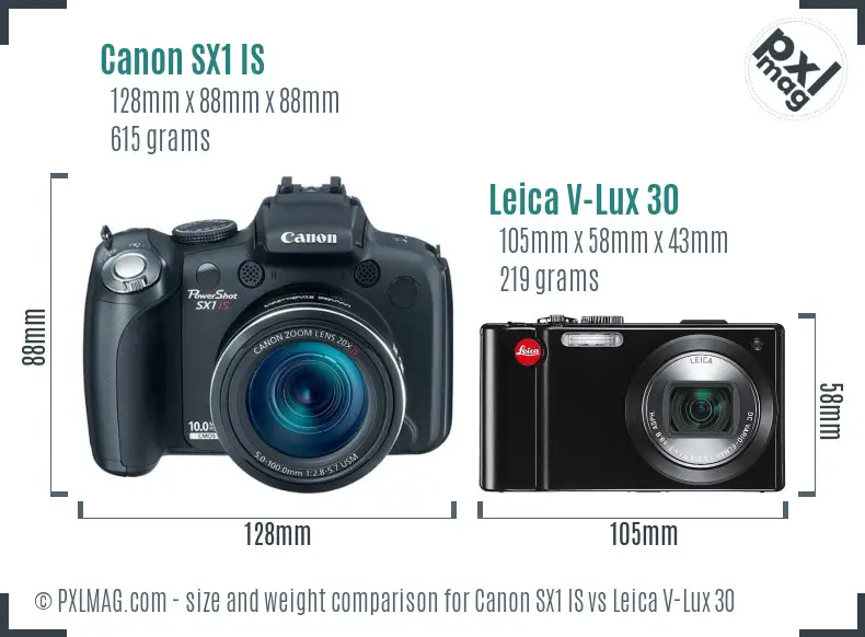 Canon SX1 IS vs Leica V-Lux 30 size comparison