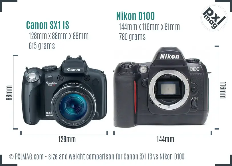Canon SX1 IS vs Nikon D100 size comparison