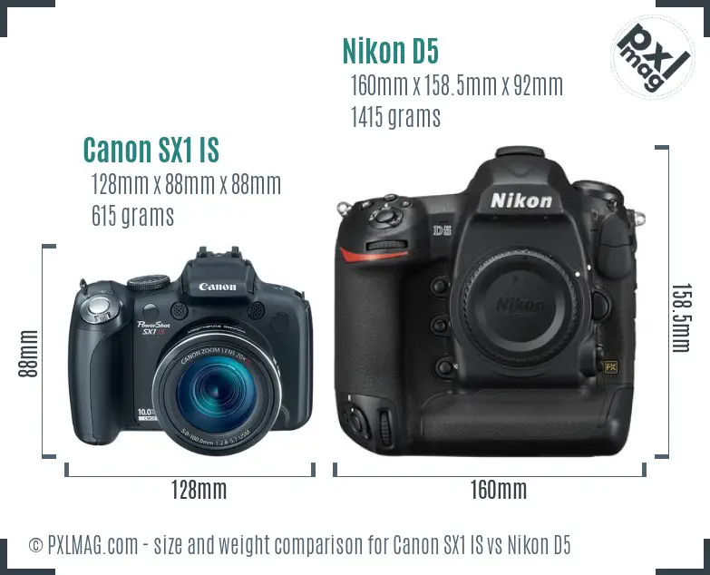 Canon SX1 IS vs Nikon D5 size comparison