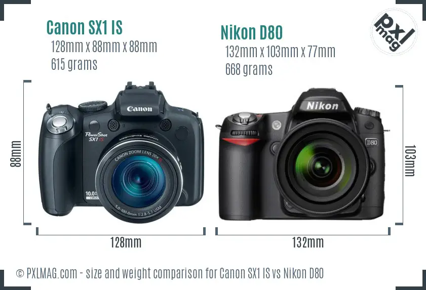 Canon SX1 IS vs Nikon D80 size comparison