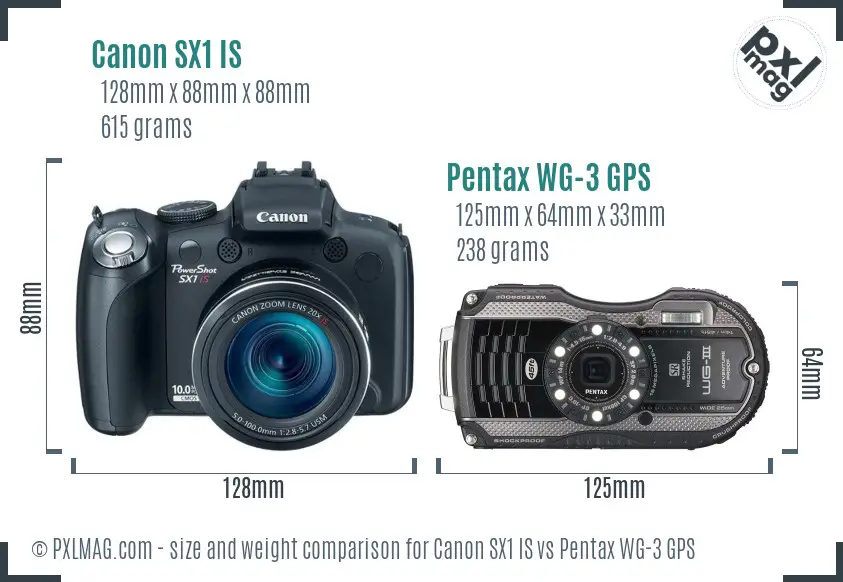 Canon SX1 IS vs Pentax WG-3 GPS size comparison