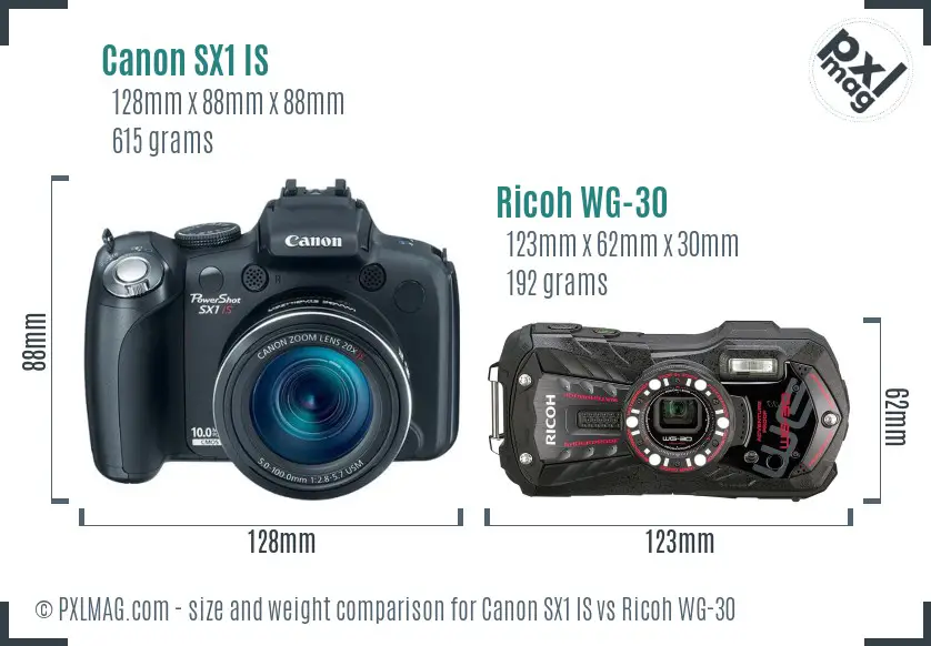 Canon SX1 IS vs Ricoh WG-30 size comparison