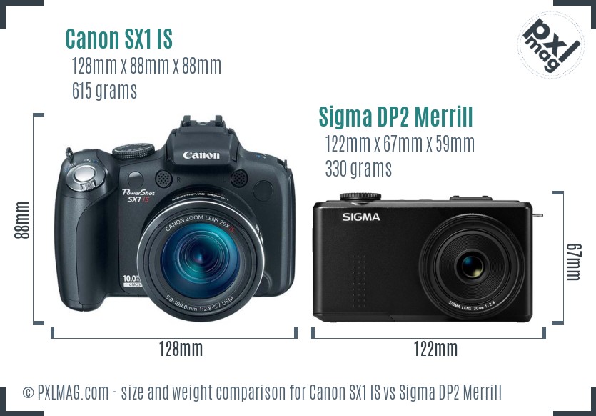 Canon SX1 IS vs Sigma DP2 Merrill size comparison Canon SX1 IS vs Sigma DP2 Merrill size comparison