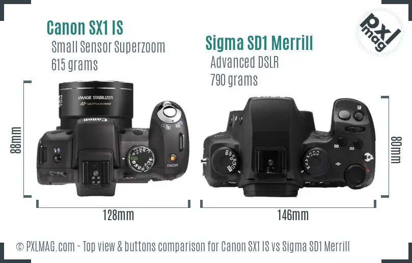 Canon SX1 IS vs Sigma SD1 Merrill top view buttons comparison