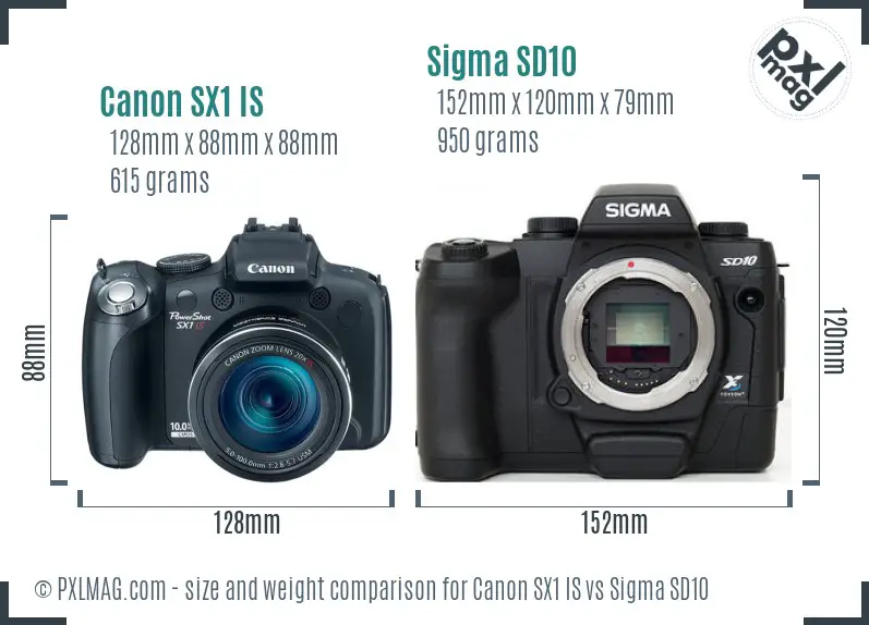 Canon SX1 IS vs Sigma SD10 size comparison Canon SX1 IS vs Sigma SD10 size comparison