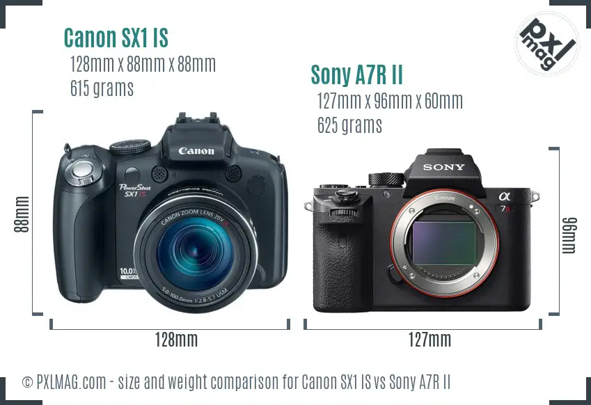 Canon SX1 IS vs Sony A7R II size comparison