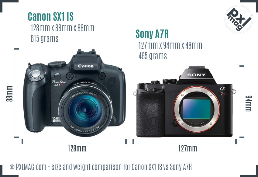 Canon SX1 IS vs Sony A7R size comparison