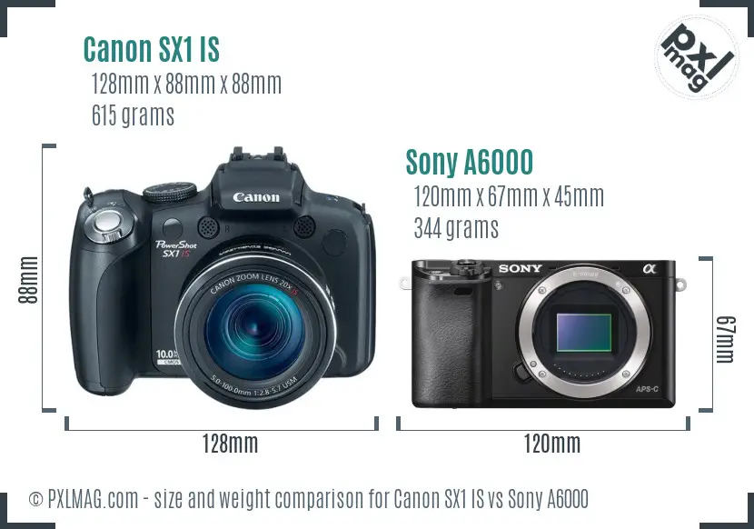 Canon SX1 IS vs Sony A6000 size comparison