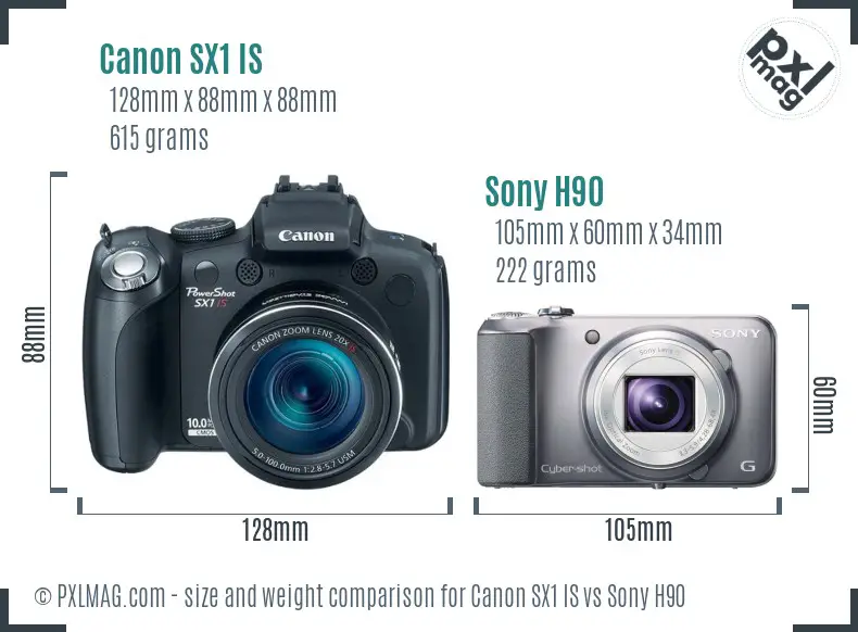 Canon SX1 IS vs Sony H90 size comparison