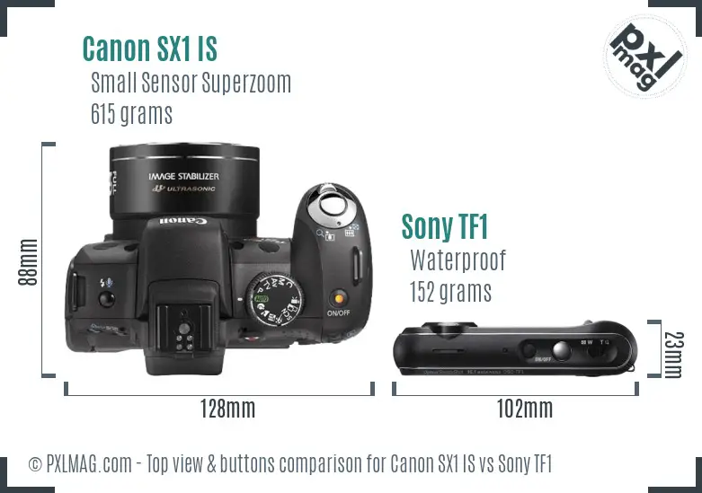 Canon SX1 IS vs Sony TF1 top view buttons comparison