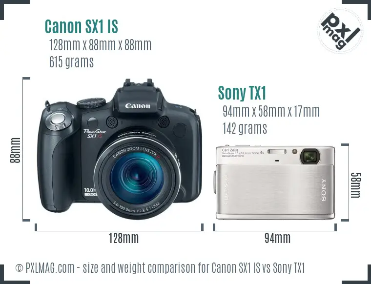 Canon SX1 IS vs Sony TX1 size comparison Canon SX1 IS vs Sony TX1 size comparison